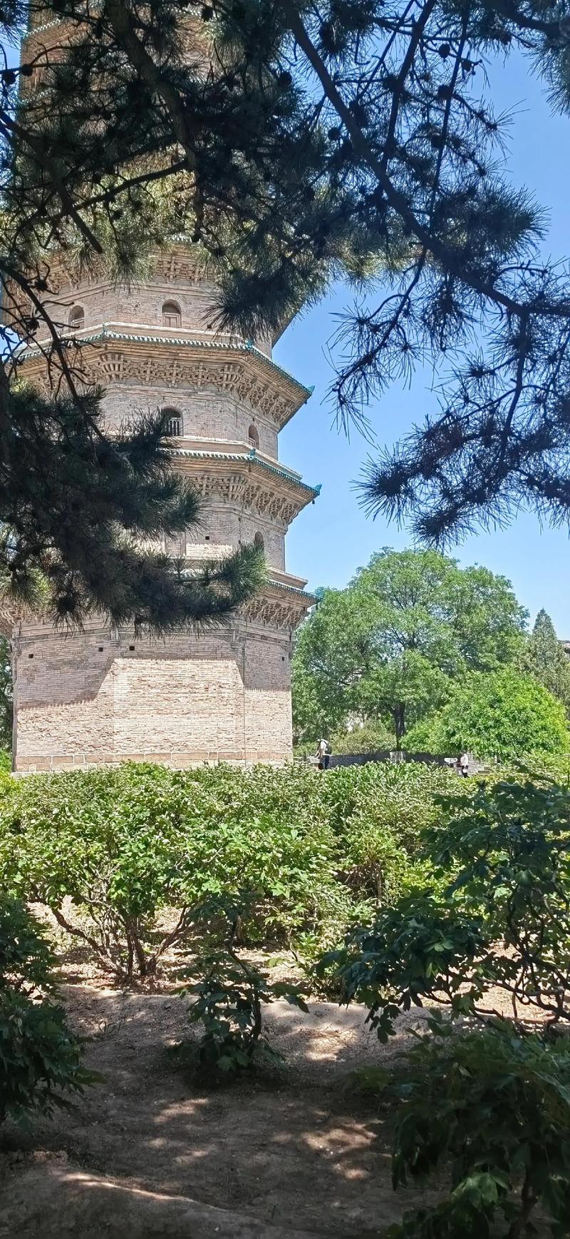 太原明和经销部